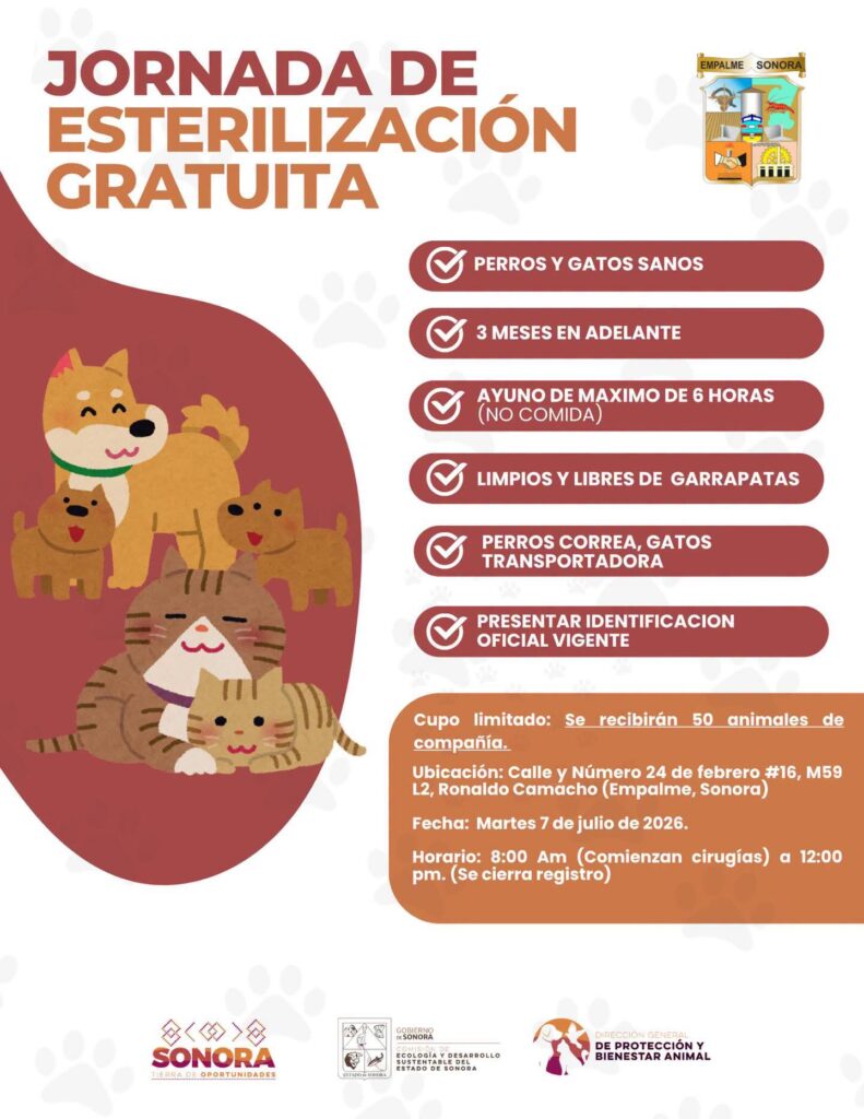FB_IMG_1782942194218