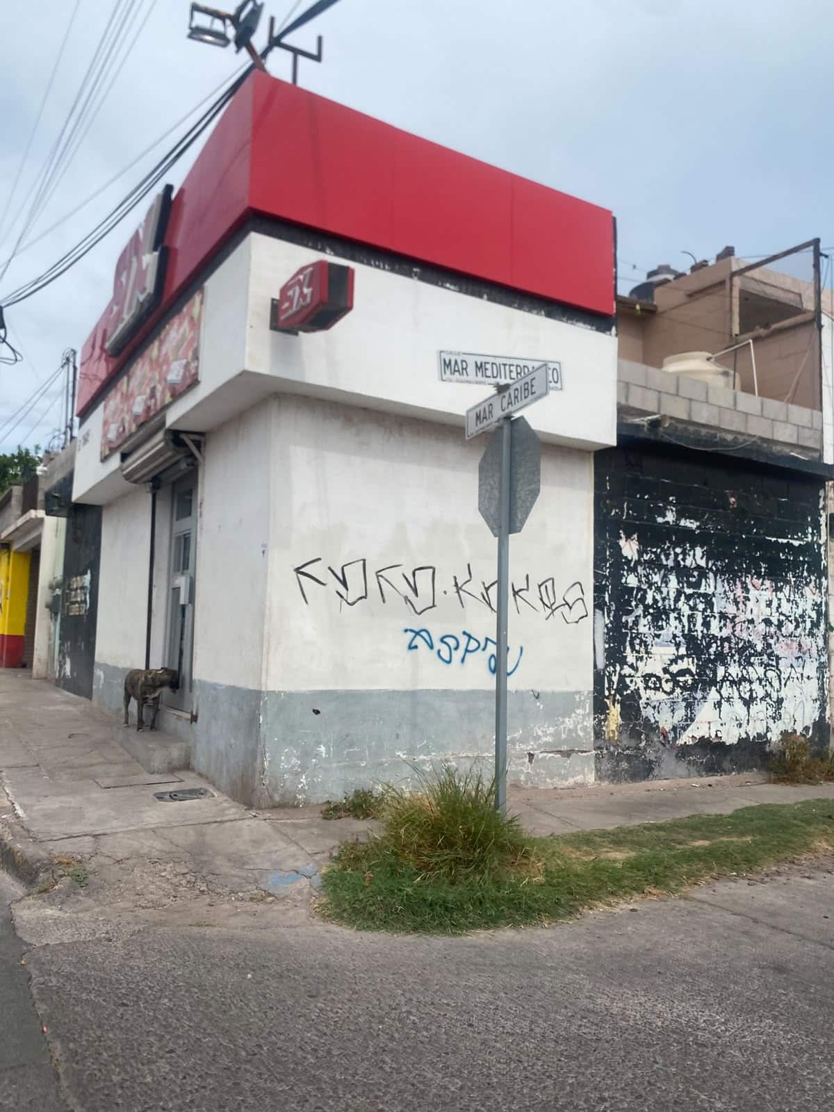 Roban en establecimiento