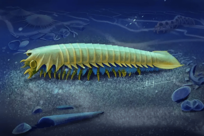 Hallan a Urokodia, el origen de los colmillos de las arañas 1 image