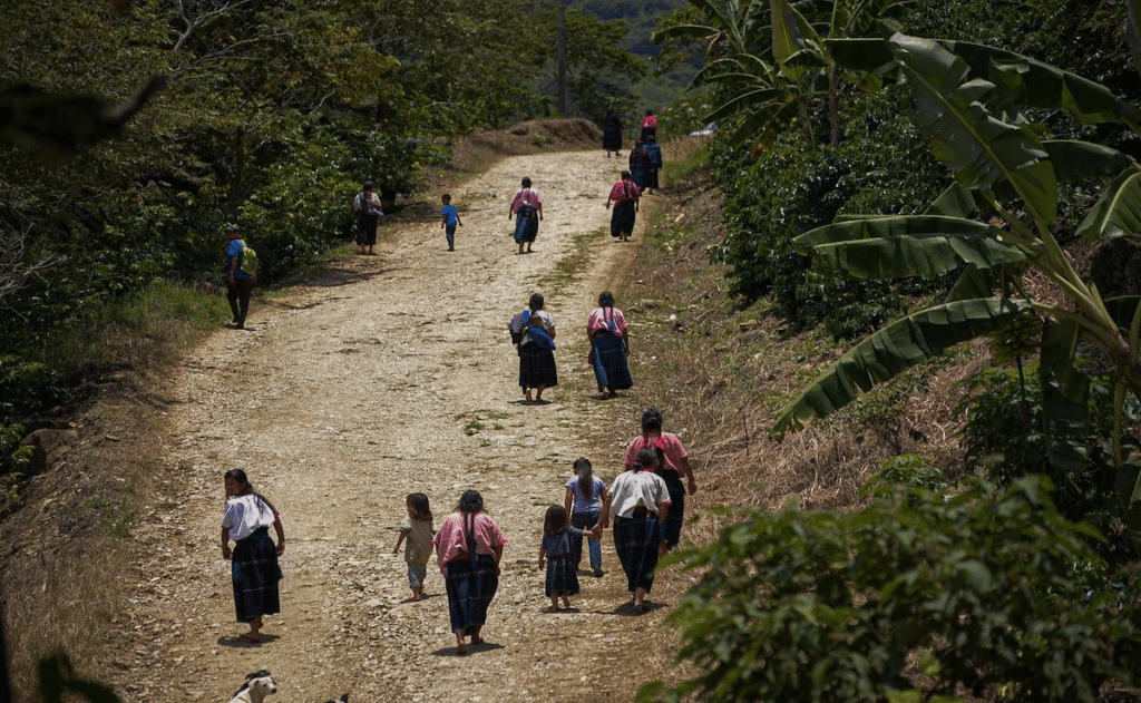 Denuncian persecución contra indígenas en Chiapas 1 image