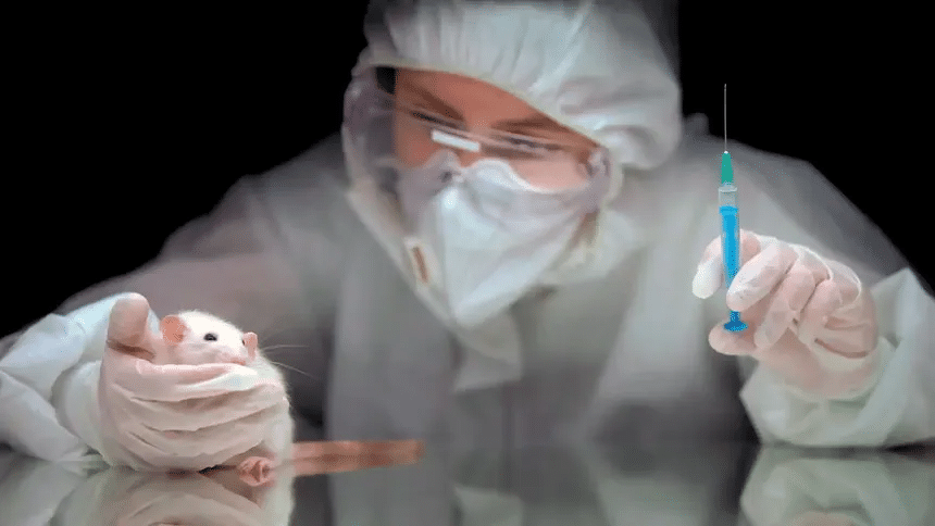 Hallan una molécula que podría ayudar a combatir la obesidad 1 image
