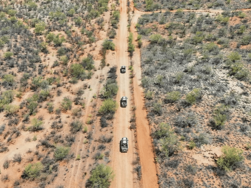 Policía Estatal fortalece operativos y detiene a 653 personas en Sonora 1 image