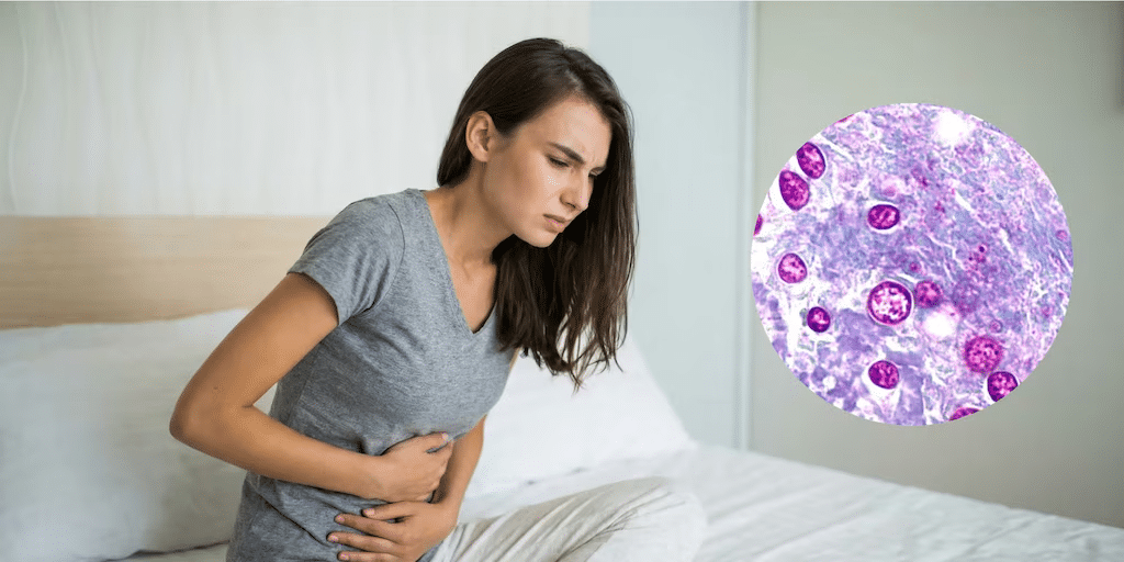 México registra tres casos de Cyclospora tras brote internacional 1 image