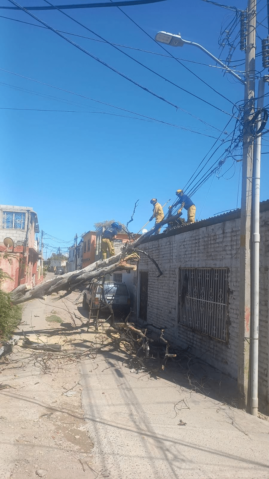 Vecinos De Punta Arena Siguen Sin Energía Eléctrica