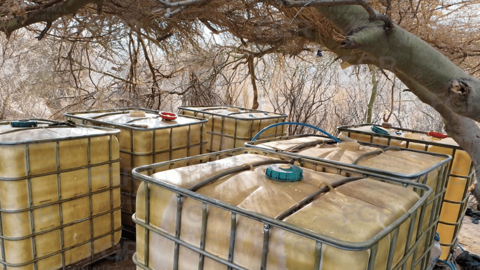 FGR asegura 8 mil litros de hidrocarburo tras hallar toma clandestina en Hermosillo