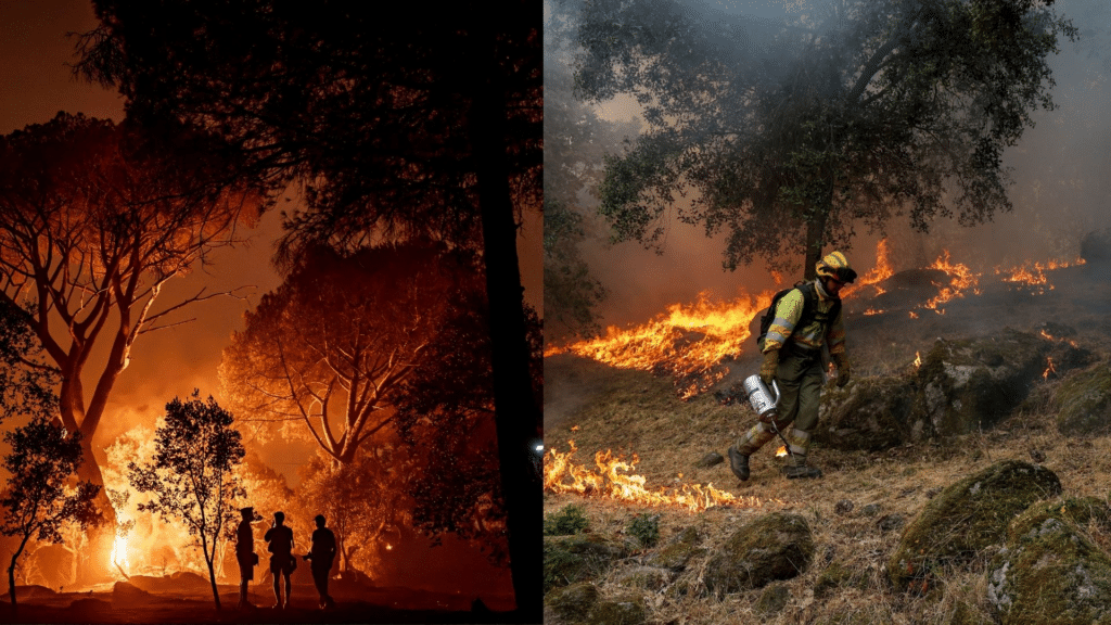 Incendios forestales cercan playas del sur de Turquía 1 image