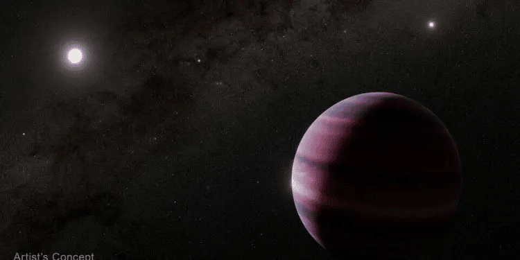 Webb detecta un exoplaneta alrededor de una estrella muerta 1 image