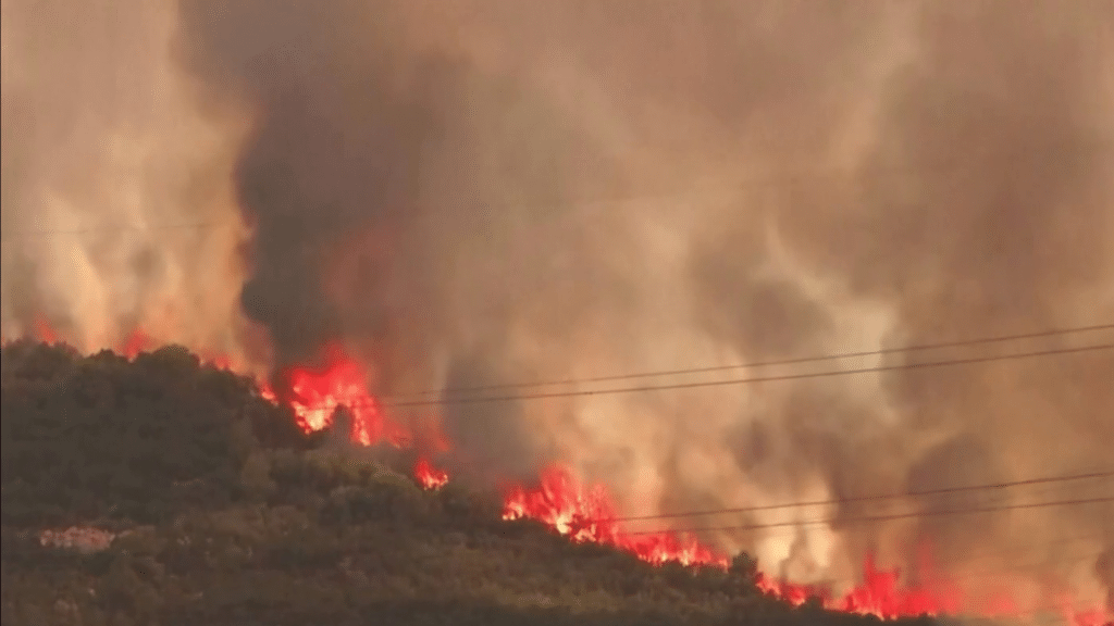 Olas de calor avivan incendios forestales en el sur de Europa 1 image