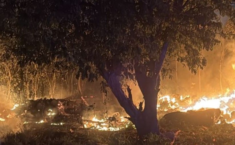 incendio-de-maleza-es-sofocado-en-encierro-de-camiones-del-periferico-de-merida-2 (2)