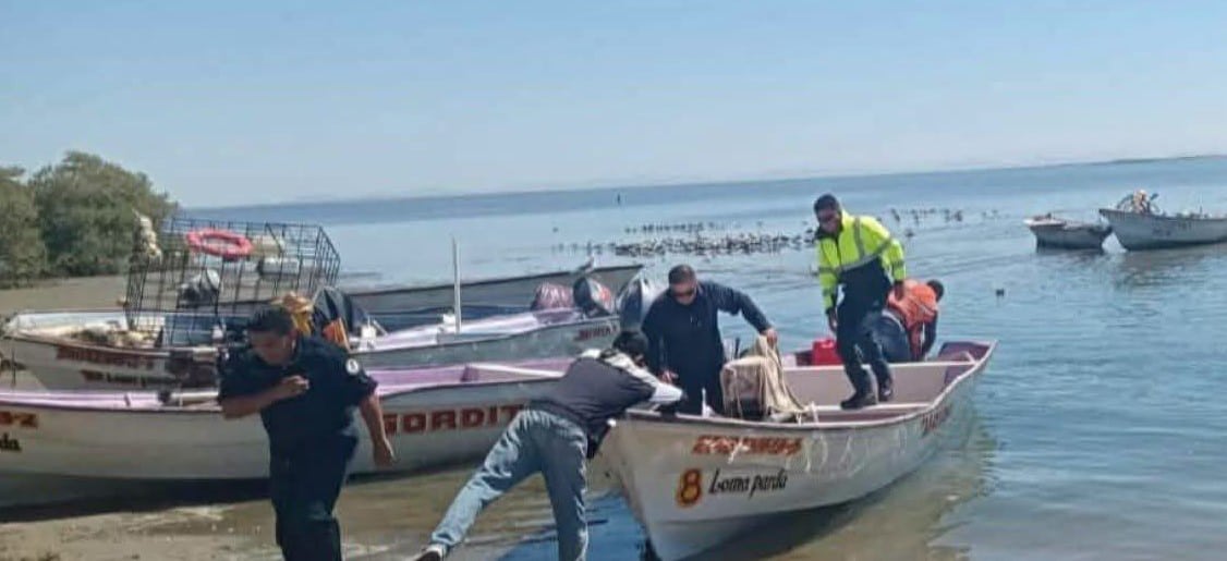 Pescadores de Guaymas y Empalme piden definir fecha para el inicio de la temporada de camarón