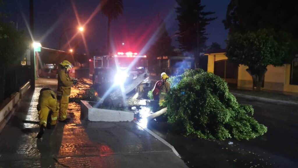 Atienden autoridades afectaciones por tormenta en Empalme 1 199