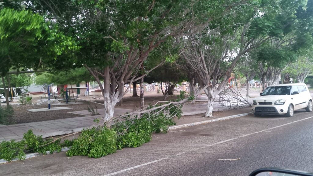 Atienden autoridades afectaciones por tormenta en Empalme 9 207