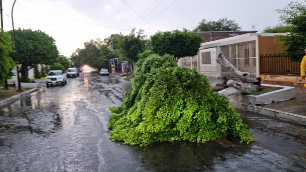 Atienden autoridades afectaciones por tormenta en Empalme 10 208