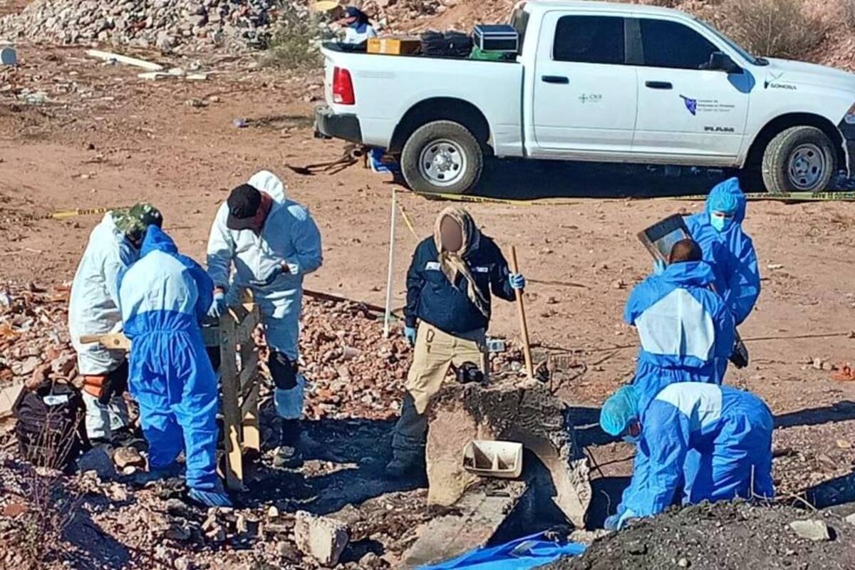 Hallan restos humanos en la colonia Mirador