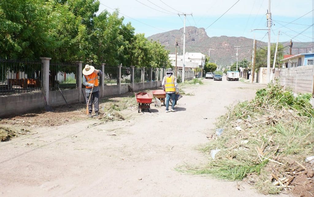 Realizan jornada de limpieza y rehabilitación urbana en la colonia Las Palmas de Guaymas 4 64