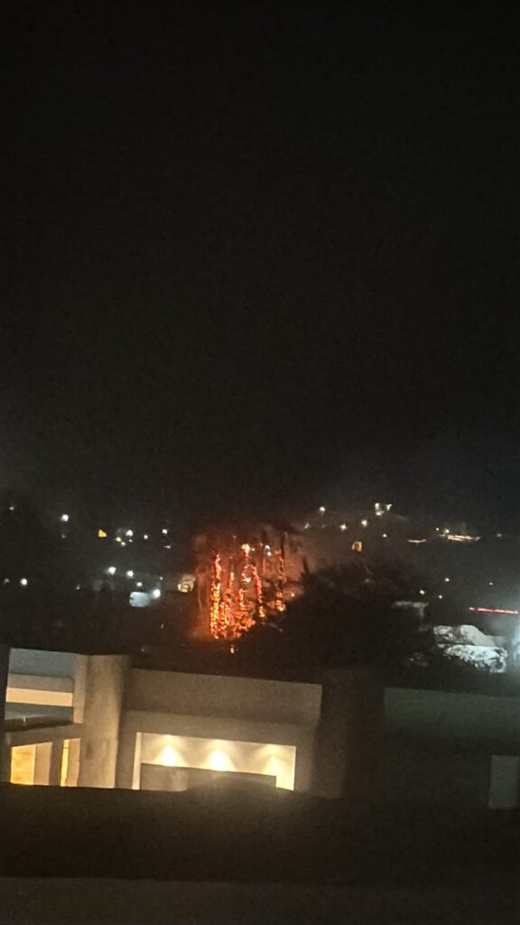 Provoca rayo incendio de palmeras en San Carlos 1 67