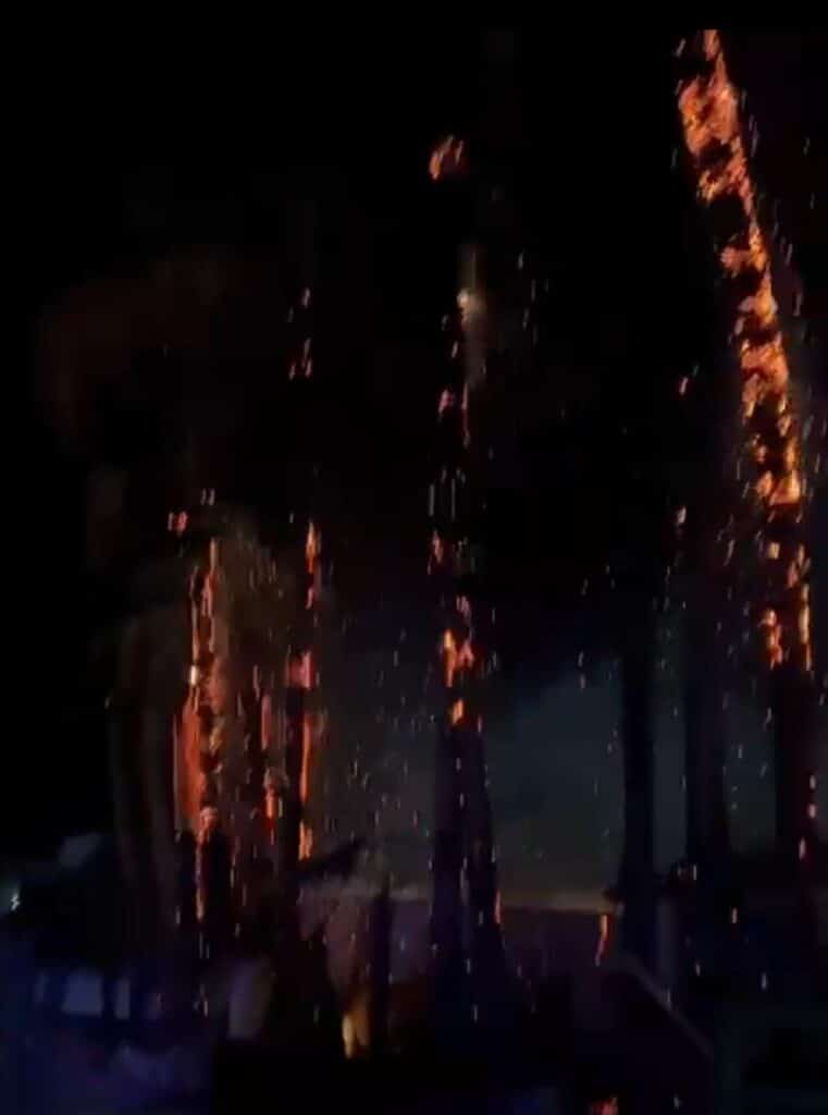 Provoca rayo incendio de palmeras en San Carlos 2 69