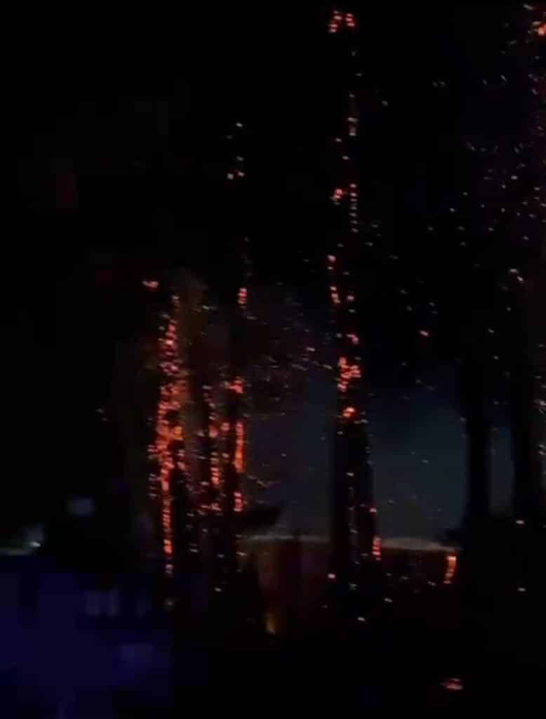 Provoca rayo incendio de palmeras en San Carlos 3 70