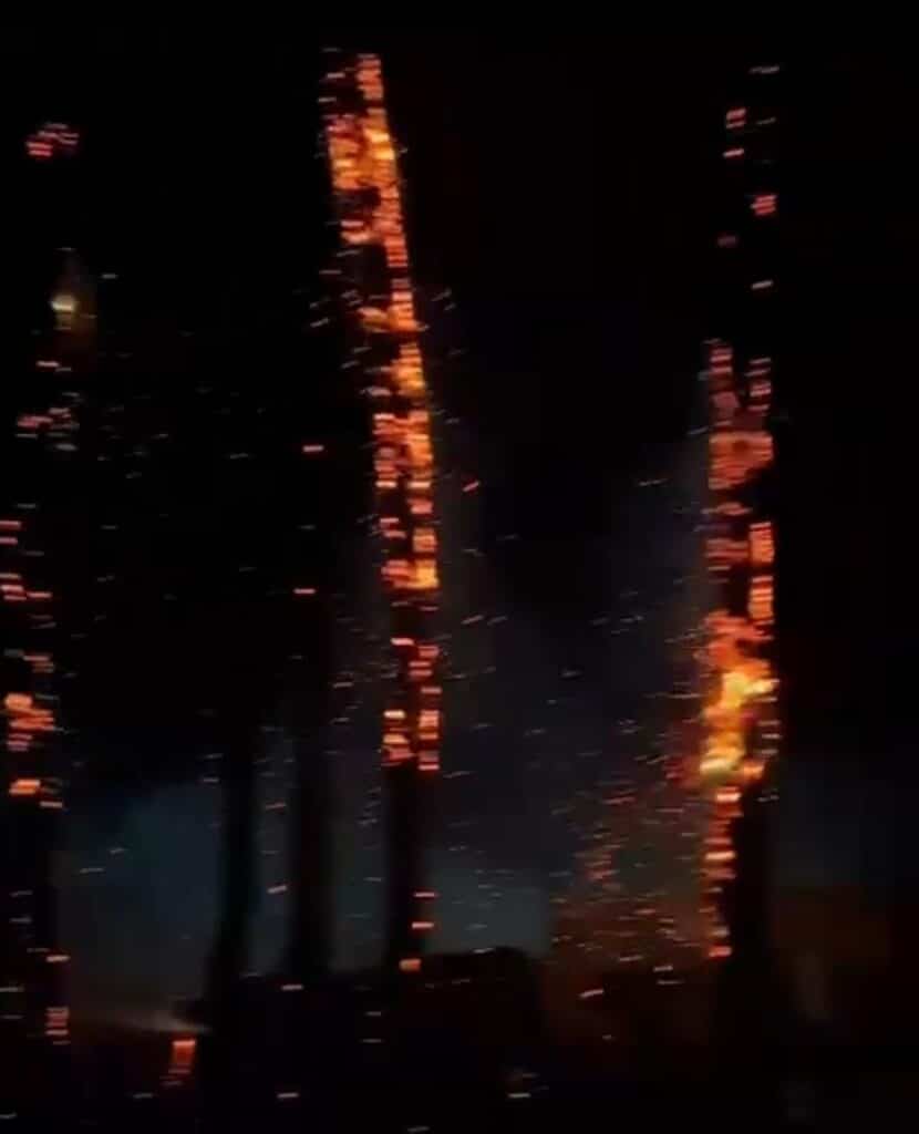 Provoca rayo incendio de palmeras en San Carlos 4 71