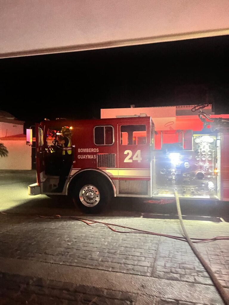 Provoca rayo incendio de palmeras en San Carlos 5 72
