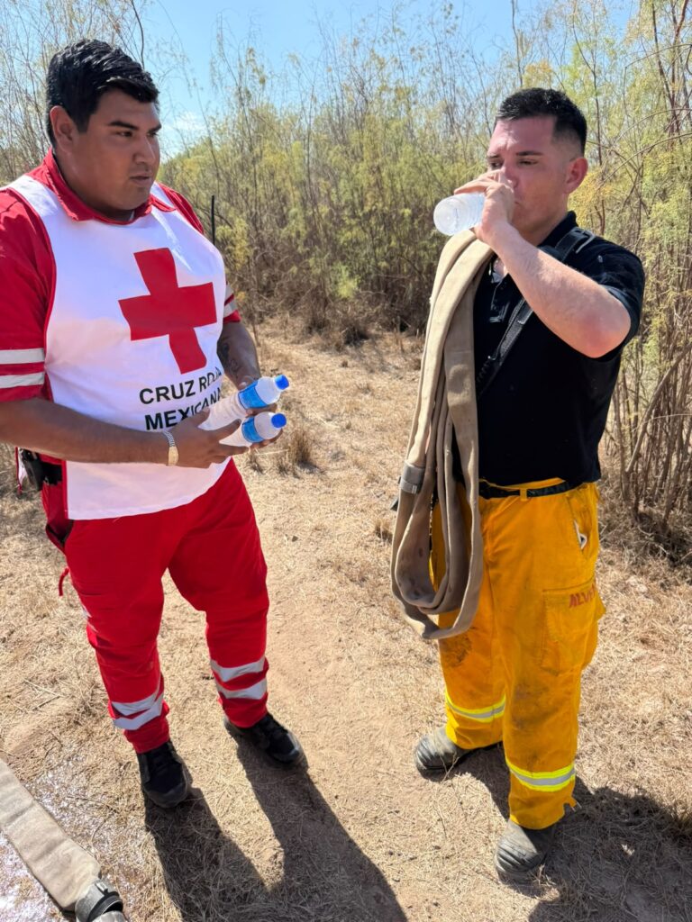 Se registra fuerte incendio forestal al sur de Empalme 3 89