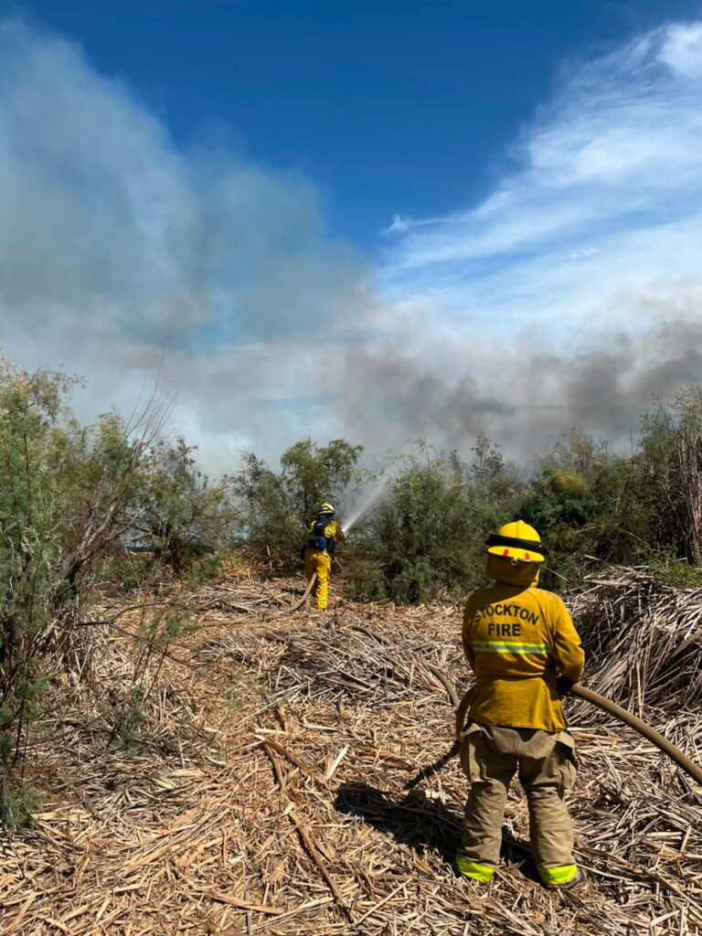 Se registra fuerte incendio forestal al sur de Empalme 5 91