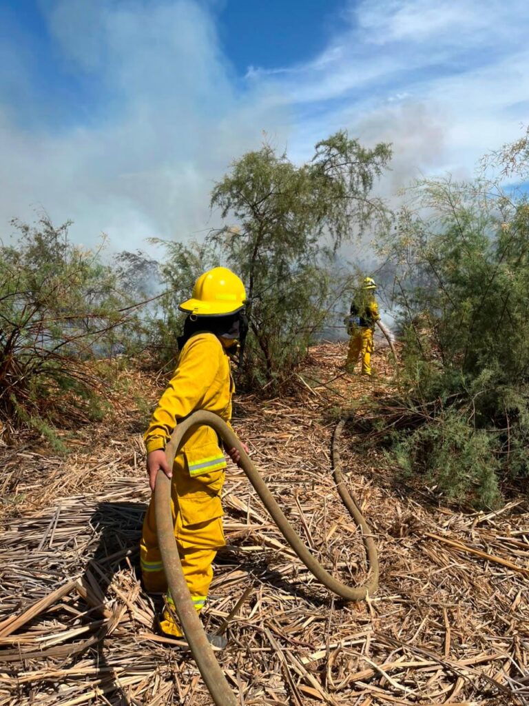 Se registra fuerte incendio forestal al sur de Empalme 6 92