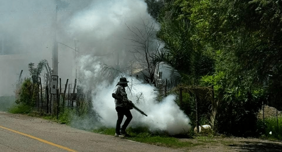 Refuerza Salud Sonora prevención del dengue con más de 9 mil fumigaciones intradomiciliarias