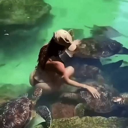 Modelo es mordida por tortuga marina en Zanzíbar 1 image