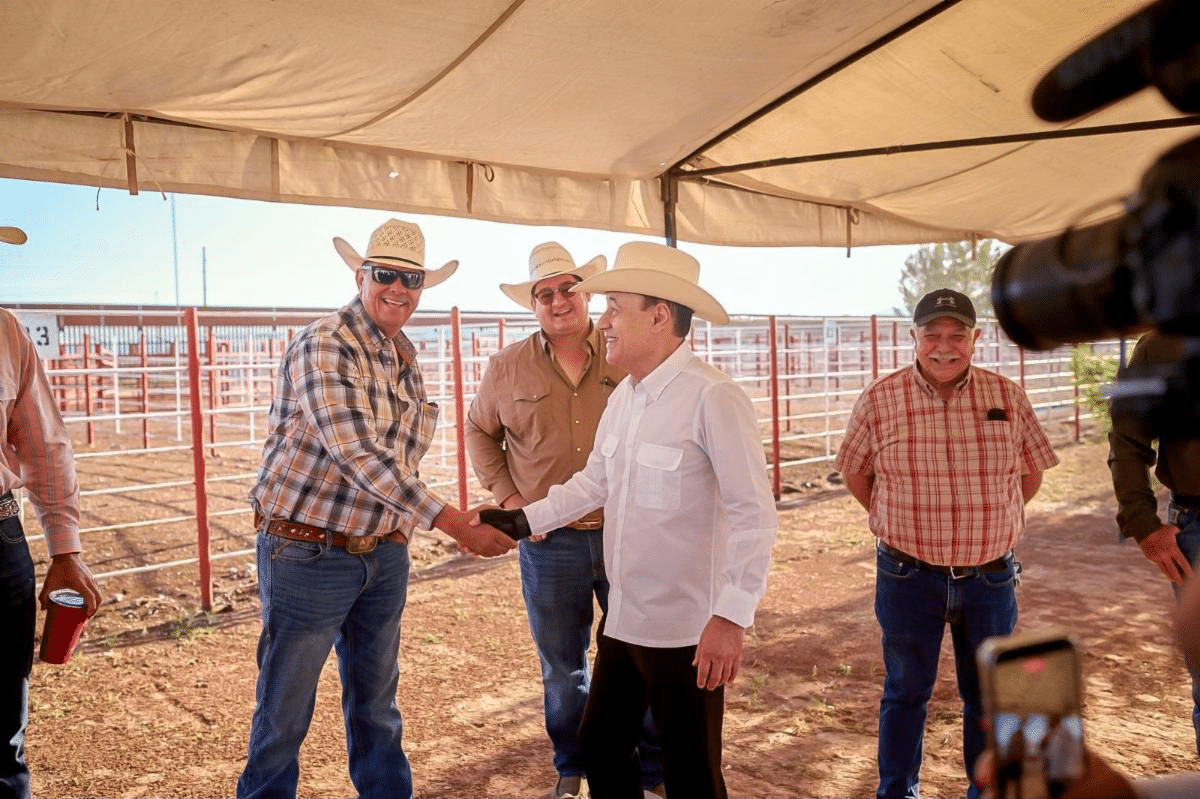 Reactivan Gobernador Durazo y Presidenta Sheinbaum exportación de ganado a EU; inicia cruce por Agua Prieta