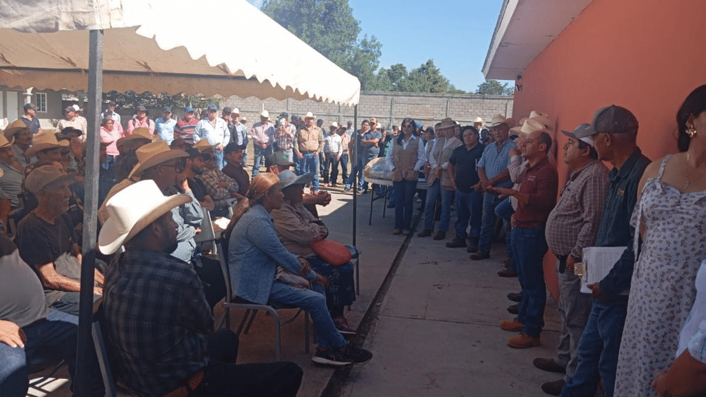 Gobierno de Sonora y Senasica intensifican acciones sanitarias para proteger al sector ganadero 1 image
