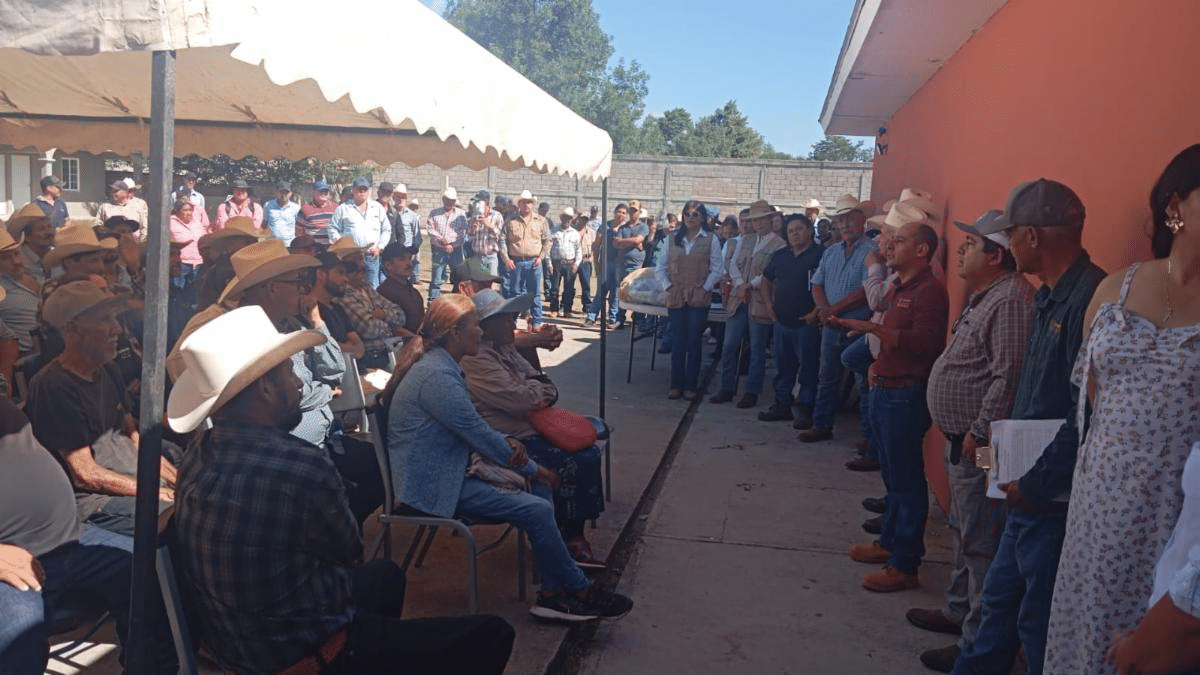 Gobierno de Sonora y Senasica intensifican acciones sanitarias para proteger al sector ganadero