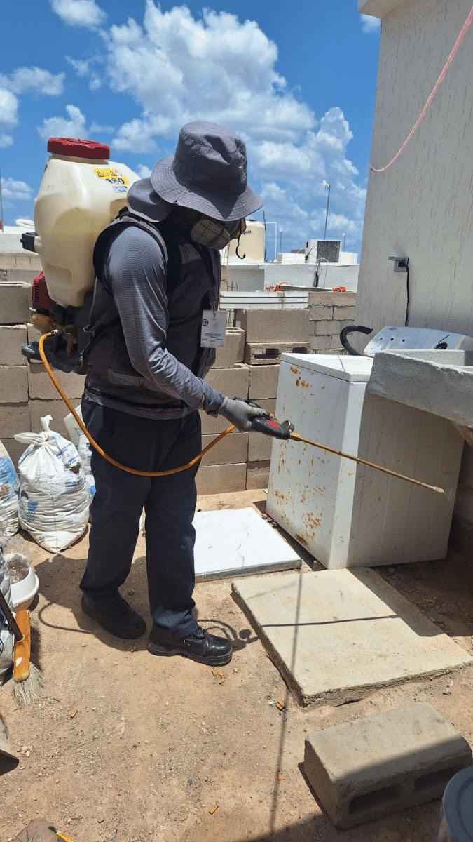 Salud Sonora intensifica acciones contra la rickettsia con fumigación de viviendas