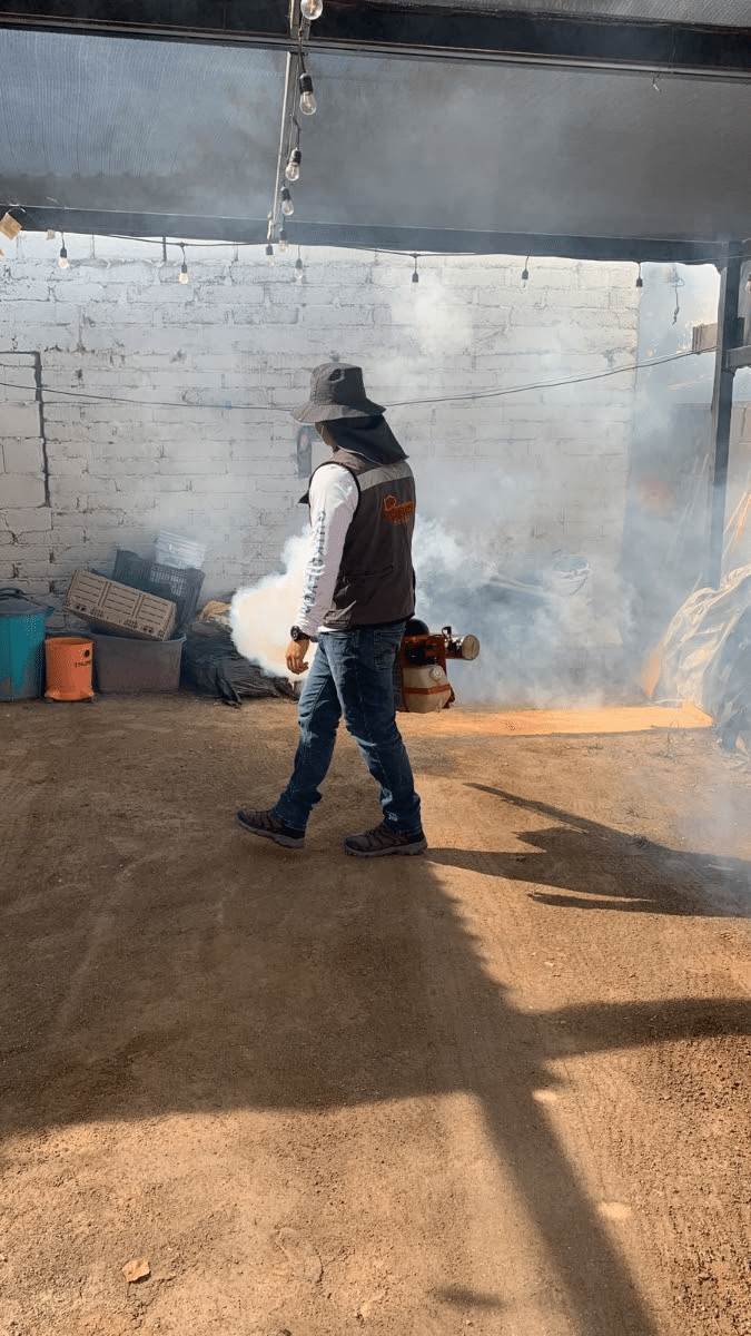 Refuerza Salud Sonora fumigación contra el dengue en viviendas y 95 mil hectáreas