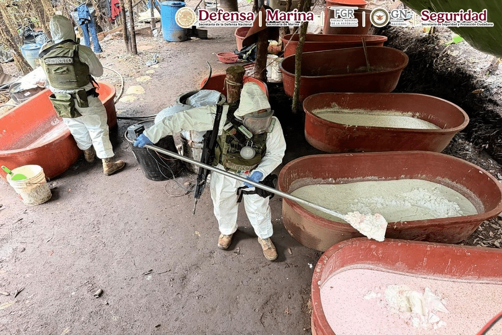 Desmantelan narcolaboratorio valuado en 3 mil 324 mdp 1 image