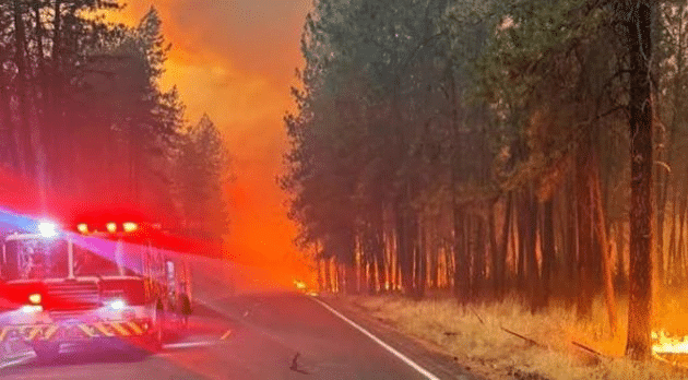 EE.UU. mantiene alerta máxima por 94 incendios forestales 1 image