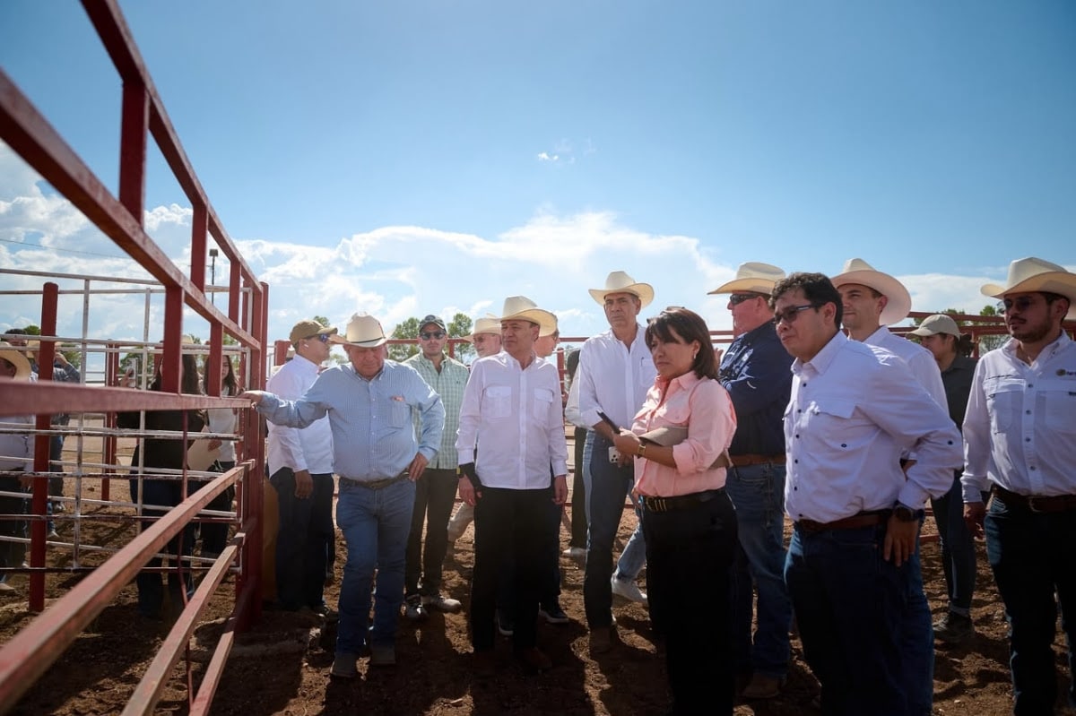 Sonora reactiva exportación de ganado a EU; gestiones de Sheinbaum y Durazo abren la frontera