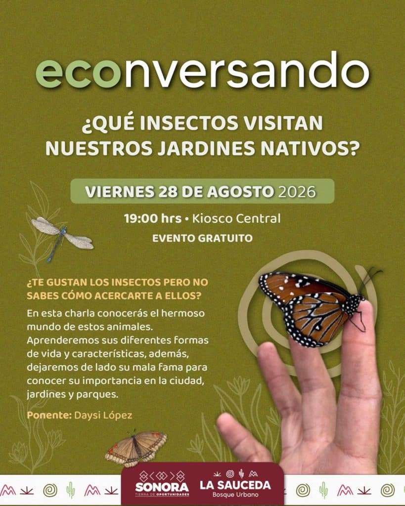 Gobierno de Sonora invita a disfrutar una variedad de actividades este fin de semana en el Bosque Urbano La Sauceda 5 unnamed (14)