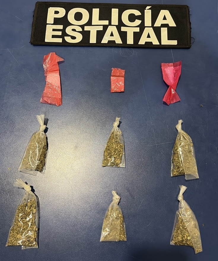 Acciones operativas de la Policía Estatal aseguran narcóticos en municipios de Sonora 4 unnamed (17)