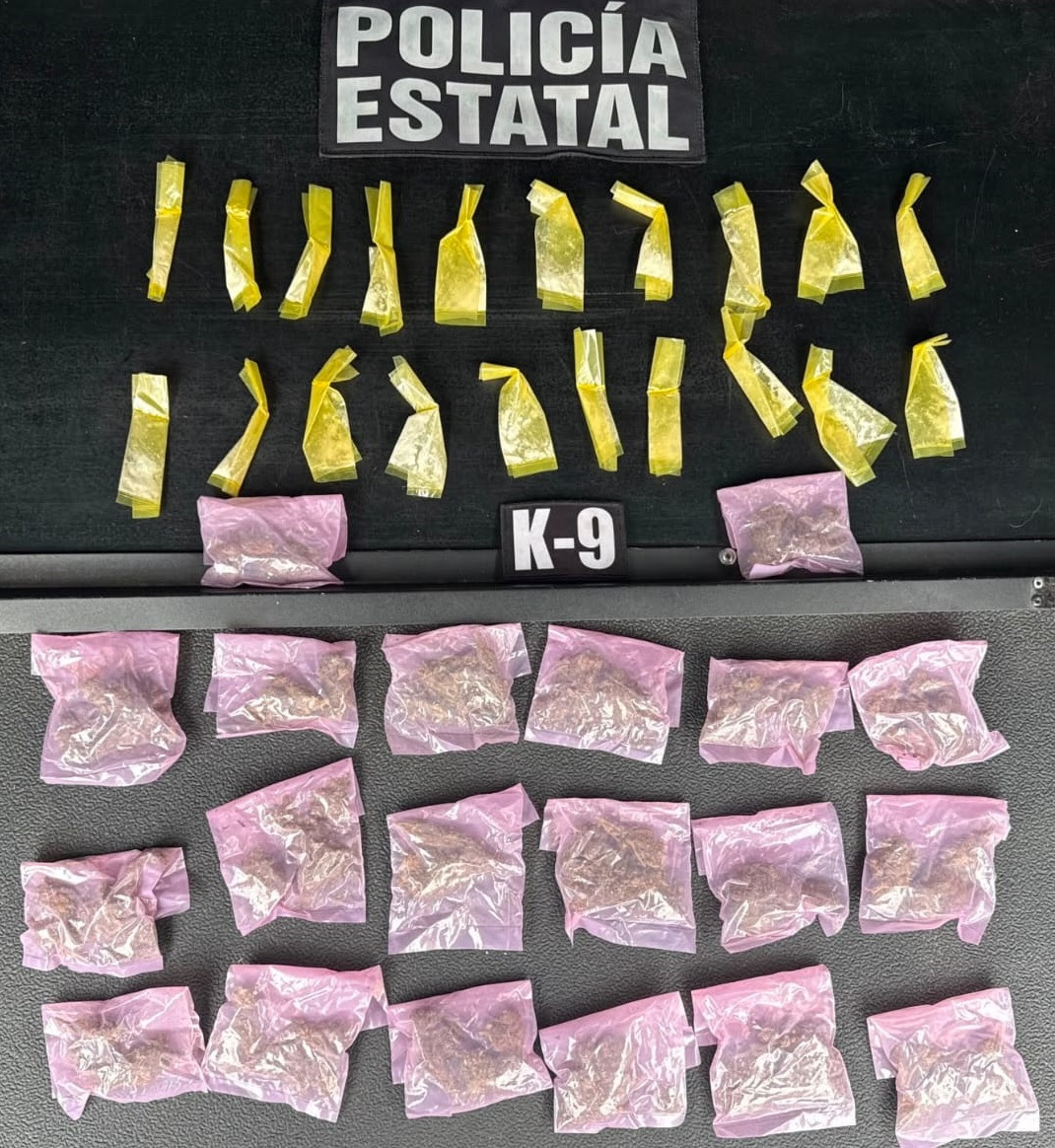 Unidad K9 fortalece la labor operativa con resultados positivos