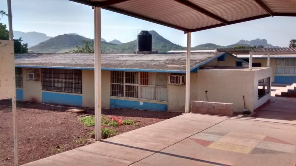 Denuncian plaga de garrapatas en primaria 1 127