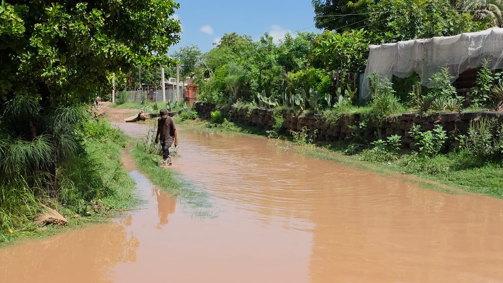 Lluvias torrenciales afectan a comunidades en el valle de Empalme 7 17