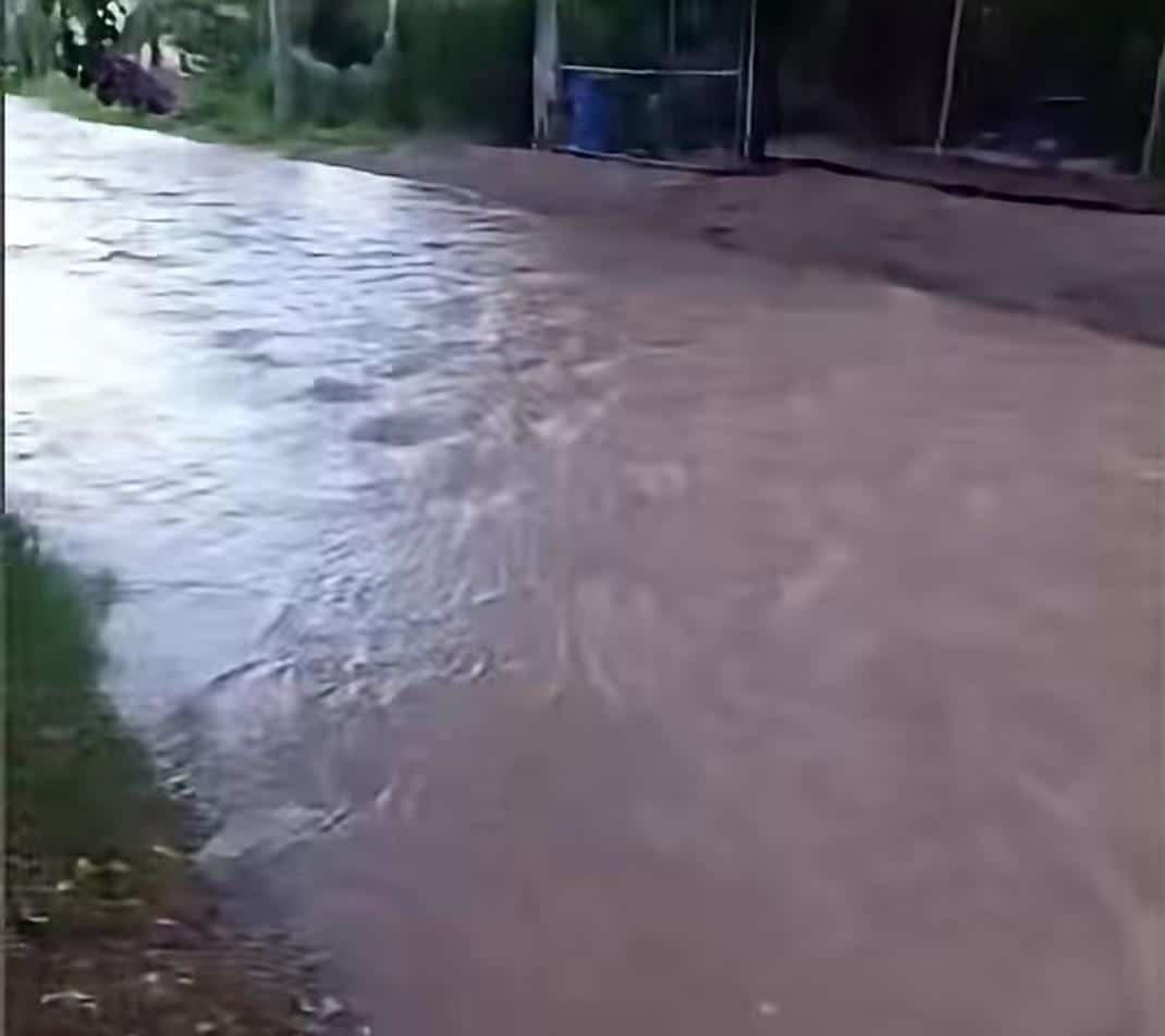 Fuerte lluvia deja 40 milímetros en el valle de Empalme