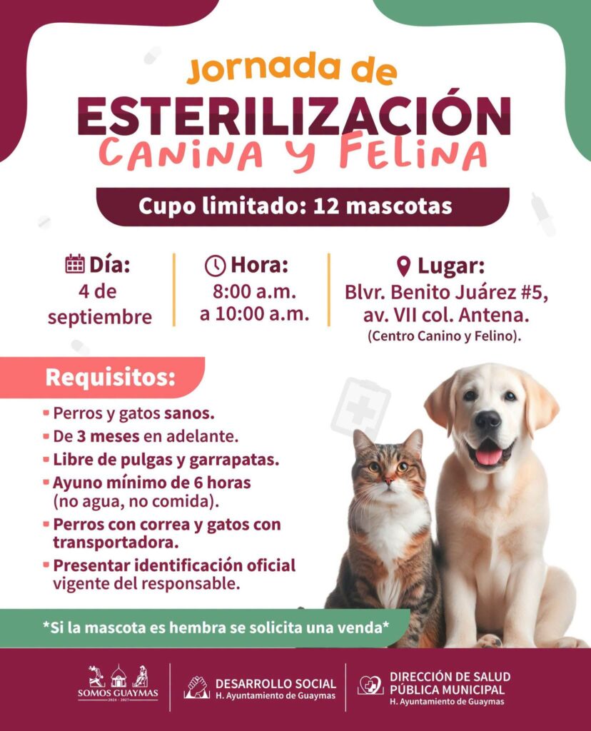FB_IMG_1788479079442