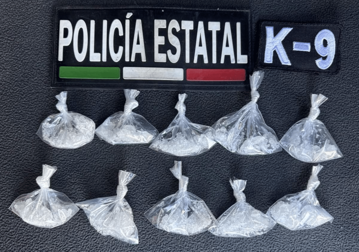 Recorridos de la Unidad K9 fortalecen la seguridad en las colonias