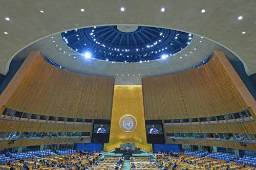 Defenderán unas 40 naciones a las cortes internacionales y a Palestina 1 image