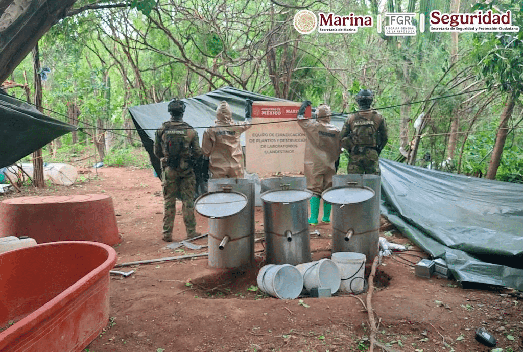 Defensa inhabilita narcolaboratorio en Guerrero; Semar erradica 62 mil plantas de mariguana en Nayarit 1 image