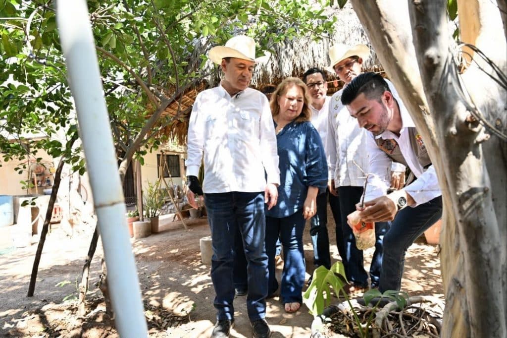 Gobernador Durazo refuerza medidas de prevención y control con Segunda Jornada Nacional de Lucha contra el Dengue 2 unnamed (2)