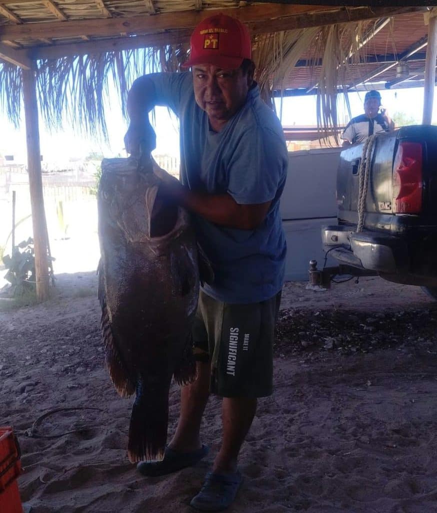 Se extravían tres pescadores de la Manga 2 461