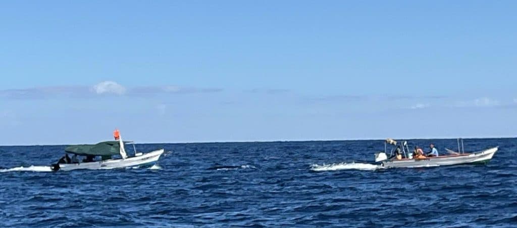 Localizan a pescadores ribereños entre la Manga y Bahía de Kino 5 474